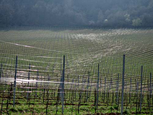 San Germano - Monti Berici - Vicenza