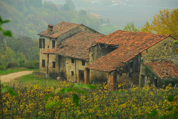 vigneti e colori d'autunno nelle colline di Sarego, monti Berici