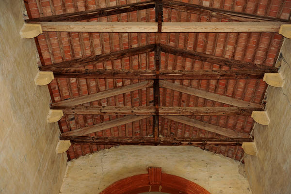 primavera nei colli di Sarego e Grancona, monti Berici occidentali settore Lonigo