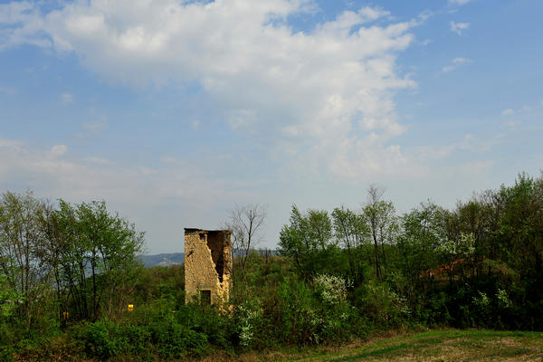 primavera nei colli di Sarego e Grancona, monti Berici occidentali settore Lonigo