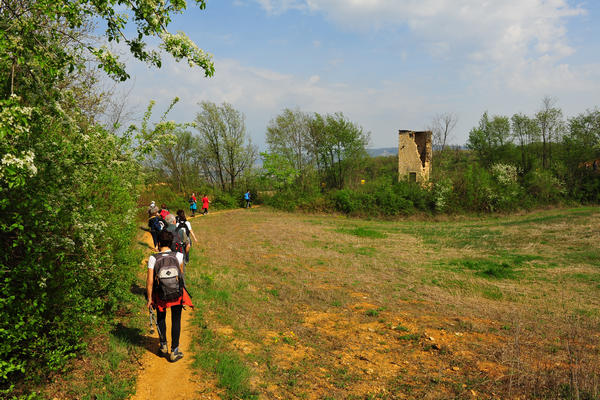 primavera nei colli di Sarego e Grancona, monti Berici occidentali settore Lonigo