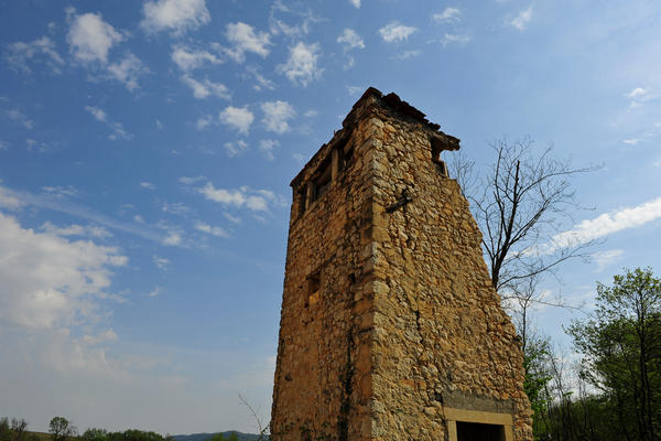 primavera nei colli di Sarego e Grancona, monti Berici occidentali settore Lonigo