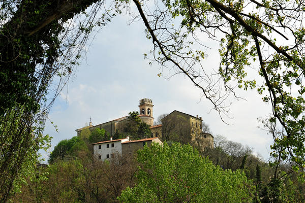 primavera nei colli di Sarego e Grancona, monti Berici occidentali settore Lonigo