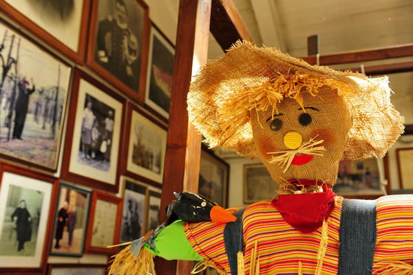 primavera nei colli di Sarego e Grancona, monti Berici occidentali settore Lonigo