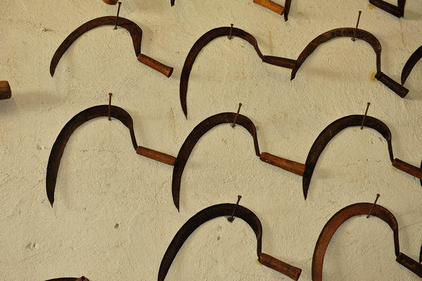 primavera nei colli di Sarego e Grancona, monti Berici occidentali settore Lonigo