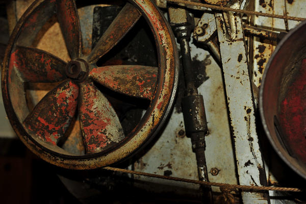 primavera nei colli di Sarego e Grancona, monti Berici occidentali settore Lonigo