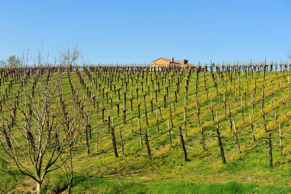 Sossano, Campolongo Val Liona, monte Cistorello, Riveselle Toara