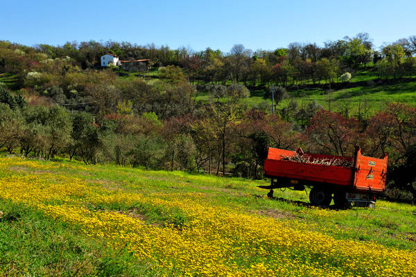 Sossano, Campolongo Val Liona, monte Cistorello, Riveselle Toara