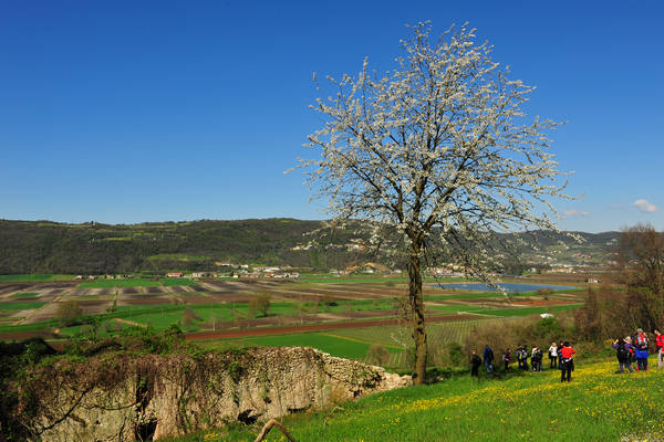 Sossano, Campolongo Val Liona, monte Cistorello, Riveselle Toara