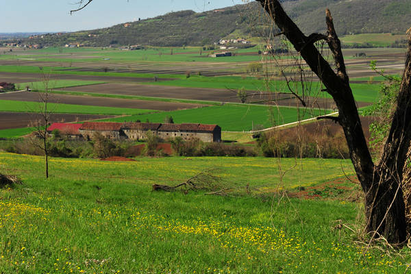 Sossano, Campolongo Val Liona, monte Cistorello, Riveselle Toara