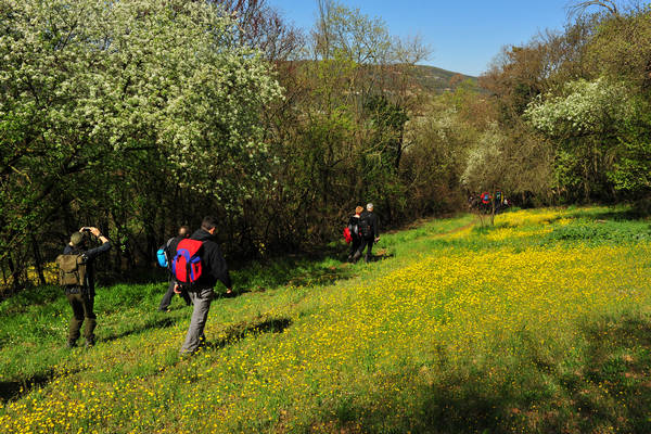 Sossano, Campolongo Val Liona, monte Cistorello, Riveselle Toara