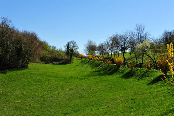 Sossano, Campolongo Val Liona, monte Cistorello, Riveselle Toara