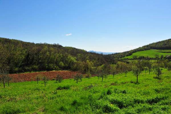 Sossano, Campolongo Val Liona, monte Cistorello, Riveselle Toara