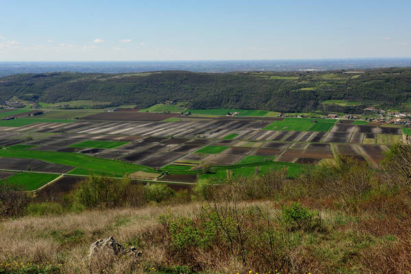 Sossano, Campolongo Val Liona, monte Cistorello, Riveselle Toara