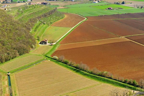 Sossano, Campolongo Val Liona, monte Cistorello, Riveselle Toara