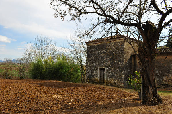 Sossano, Campolongo Val Liona, monte Cistorello, Riveselle Toara
