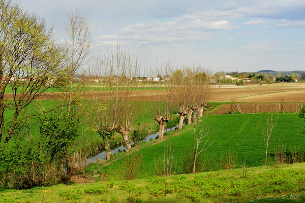Sossano, Campolongo Val Liona, monte Cistorello, Riveselle Toara