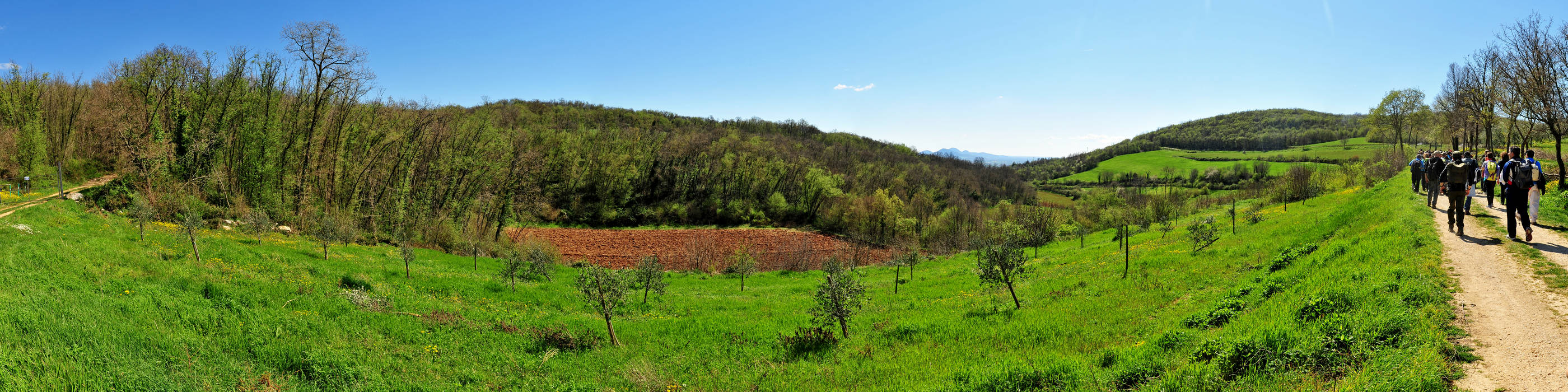 Monte Cistorello a Campolongo di San Germano dei Berici, Colli Berici, Vicenza