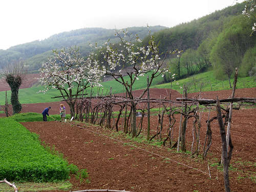 Altopiano di Pozzolo, Villaga - Monti Berici
