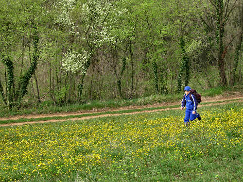 Altopiano di Pozzolo, Villaga - Monti Berici