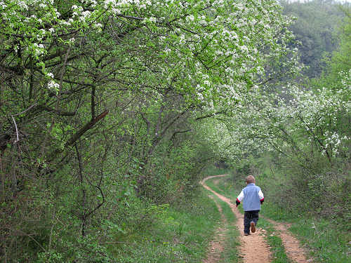 Altopiano di Pozzolo, Villaga - Monti Berici