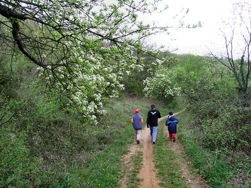 Altopiano di Pozzolo, Villaga - Monti Berici