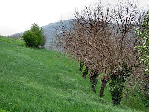 Altopiano di Pozzolo, Villaga - Monti Berici