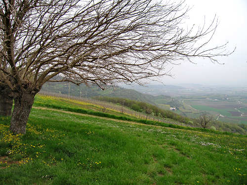 Altopiano di Pozzolo, Villaga - Monti Berici