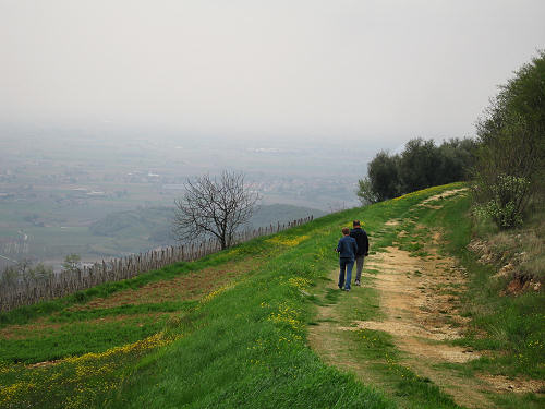 Altopiano di Pozzolo, Villaga - Monti Berici