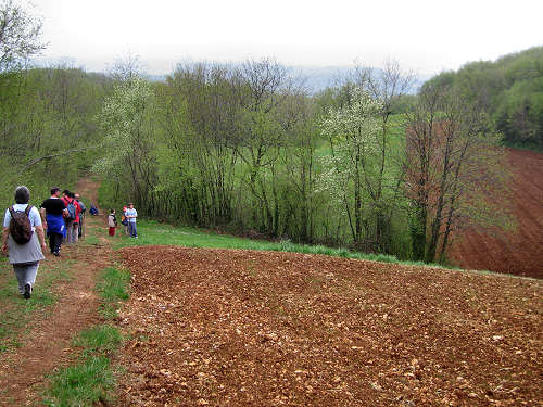 Altopiano di Pozzolo, Villaga - Monti Berici