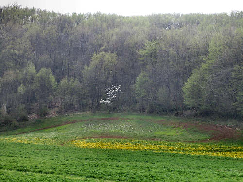 Altopiano di Pozzolo, Villaga - Monti Berici