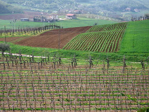 Altopiano di Pozzolo, Villaga - Monti Berici