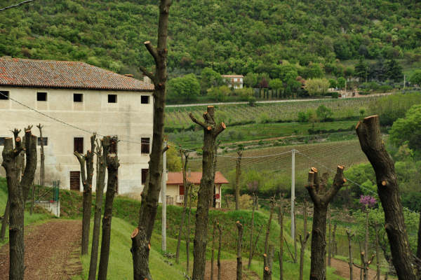 Eremo San Donato Villaga Pozzolo Scudellette Barbarano