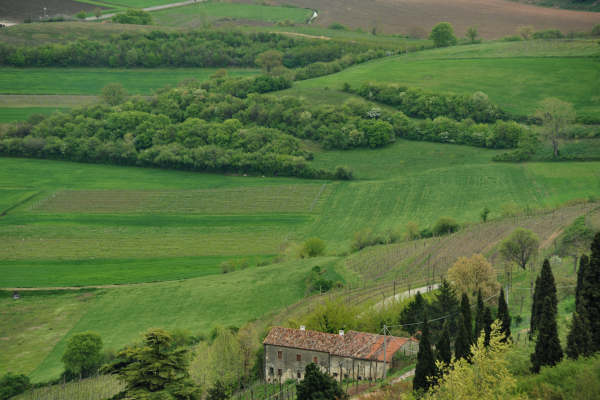 Eremo San Donato Villaga Pozzolo Scudellette Barbarano