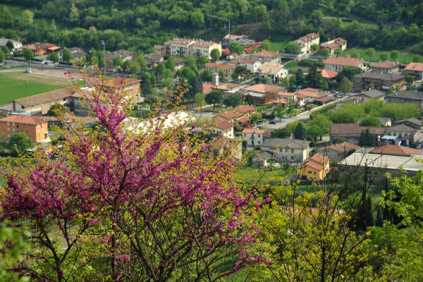 Eremo San Donato Villaga Pozzolo Scudellette Barbarano