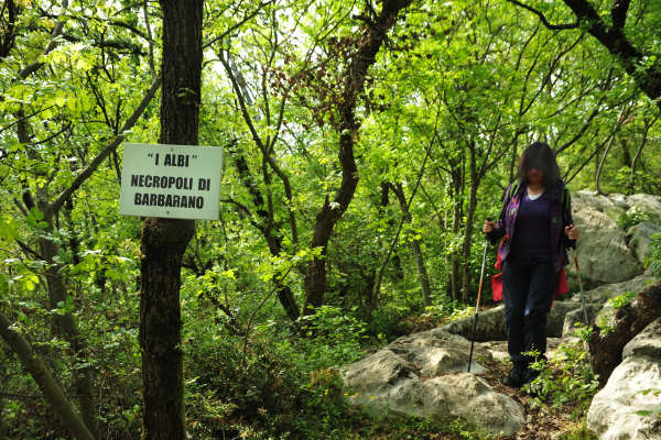 Eremo San Donato Villaga Pozzolo Scudellette Barbarano