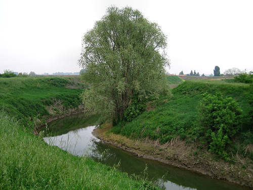 Fiume Frassine da Este al Bosco dei Lavacci a Carmignano di Sant'Urbano