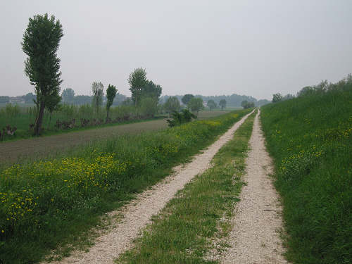 Fiume Frassine da Este al Bosco dei Lavacci a Carmignano di Sant'Urbano