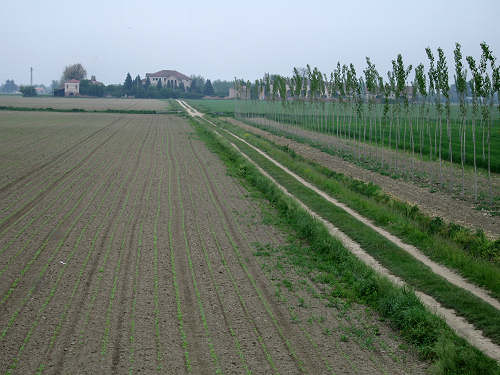 Fiume Frassine da Este al Bosco dei Lavacci a Carmignano di Sant'Urbano