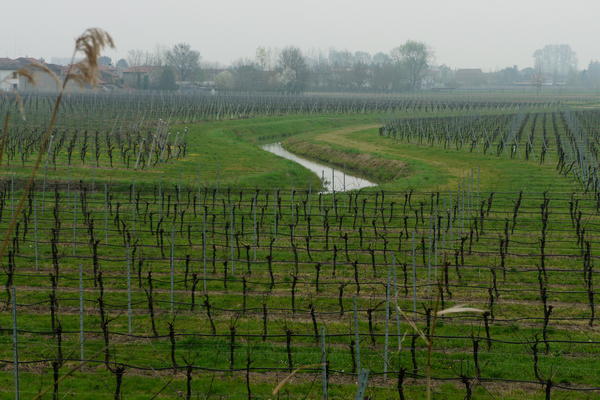 Itinerario Anello delle citt&agrave; murate - Provincia di Padova