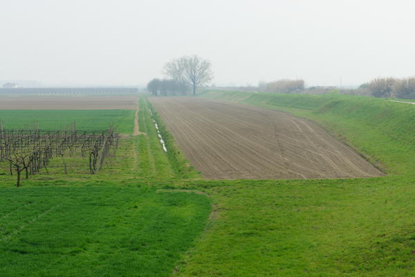 Itinerario Anello delle citt&agrave; murate - Provincia di Padova