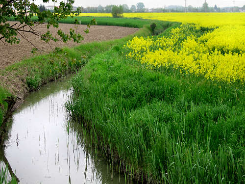 da Montagnana a Legnago