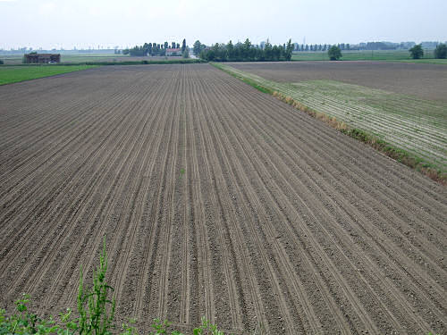 argine Fratta Gorzone