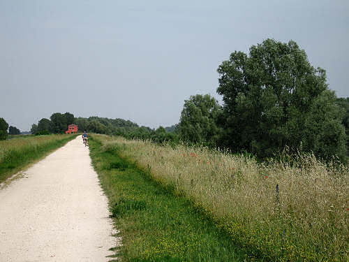 Castelaldo, argine fiume Adige