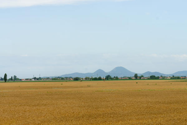 Padova, Monselice, Rovigo, Ferrara - Cammino Sant'Antonio
