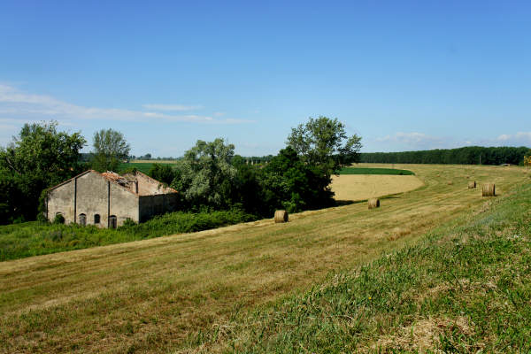 Padova, Monselice, Rovigo, Ferrara - Cammino Sant'Antonio