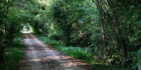 Badoere di Morgano, Treviso, ex ferrovia militare Ostiglia