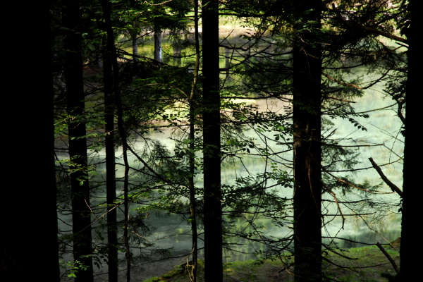 area archeologica nauturalistica di Lagole a Calalzo di Cadore, Belluno Dolomiti