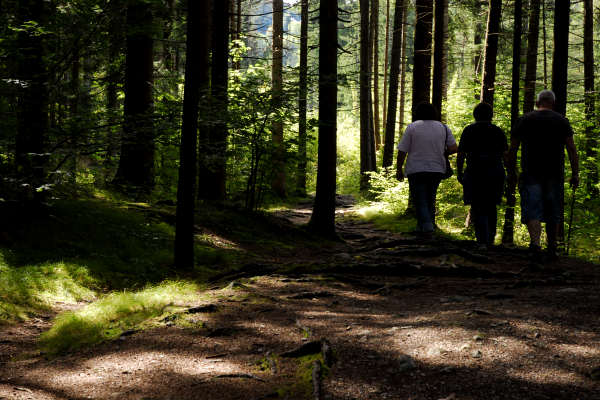 area archeologica nauturalistica di Lagole a Calalzo di Cadore, Belluno Dolomiti