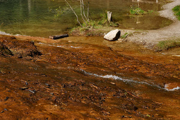 area archeologica nauturalistica di Lagole a Calalzo di Cadore, Belluno Dolomiti
